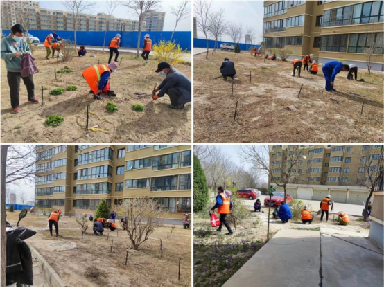春季绿化补植忙，不负春光不负&ldquo;青&rdquo;|白银融创物业有限公司积极开展春季绿化养护工作