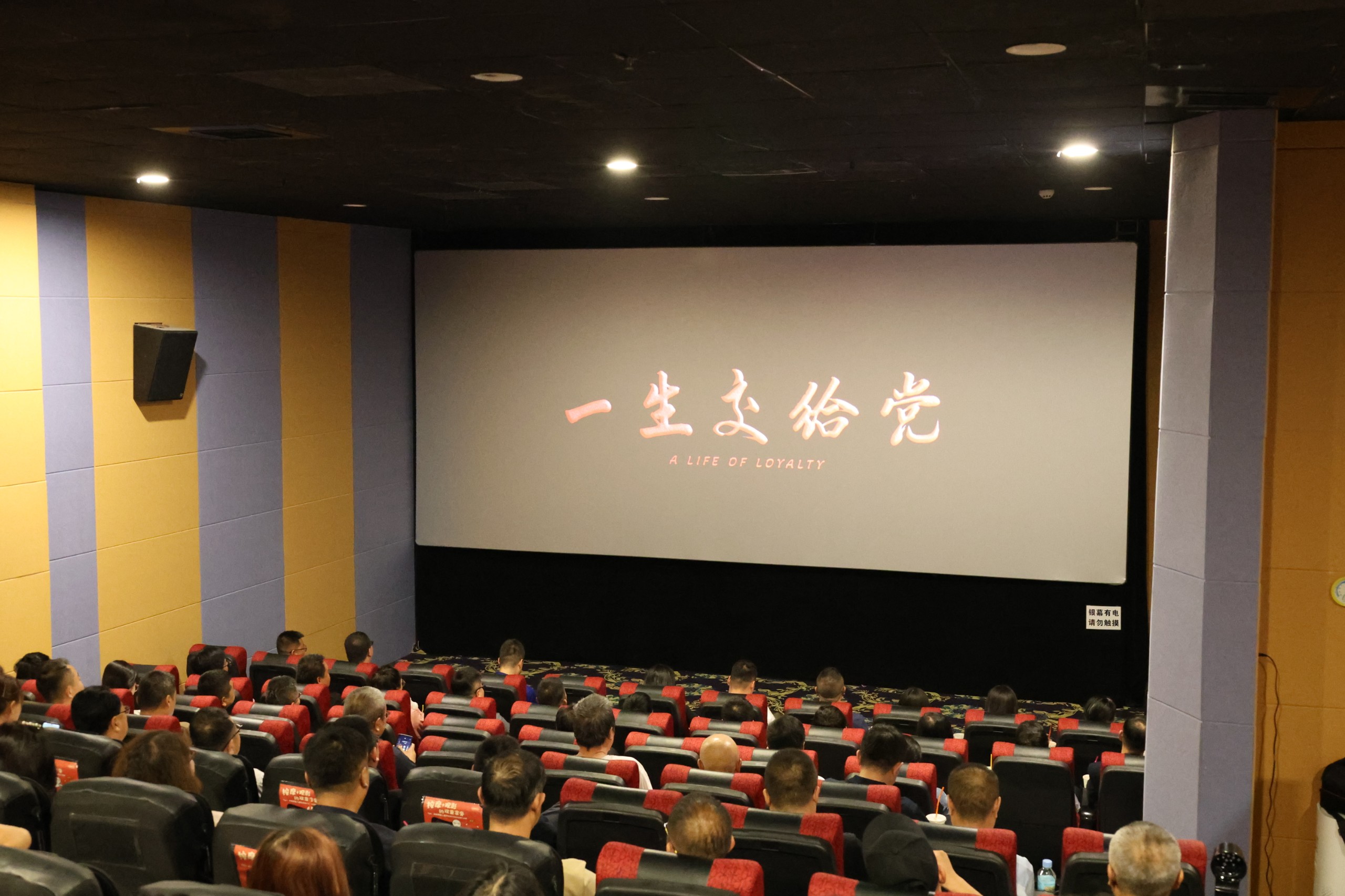 观影1.JPG